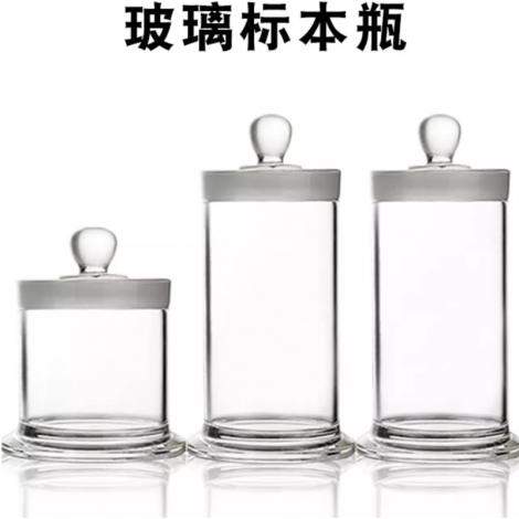玻璃標本瓶