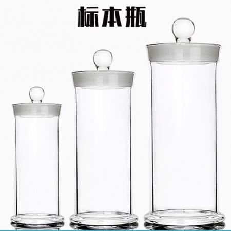 大規(guī)格磨砂口加厚玻璃標本瓶