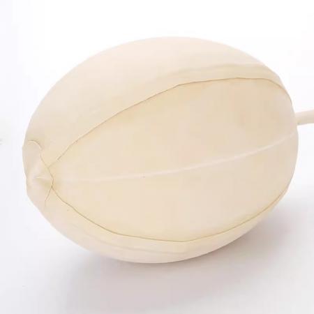 乳膠球膽