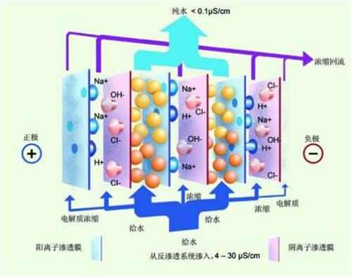 離子交換分離的操作