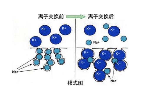 影響離子