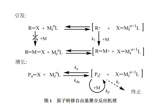 自由基引發(fā)的加成聚合反應(yīng)