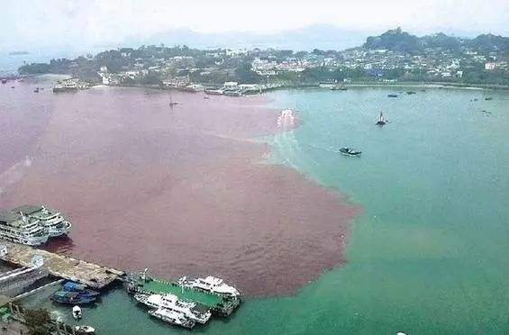 海洋中人工放射性物質(zhì)在水平方向上的遷移