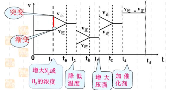 化學(xué)反應(yīng)速率及其表示方法
