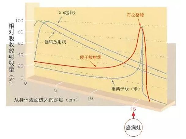 質(zhì)子的自遞作用與調(diào)平效應(yīng)