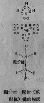 配價或配位鍵的構(gòu)成