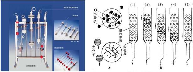 高聚物純化技術(shù)的實驗