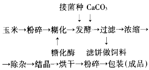 工藝路線