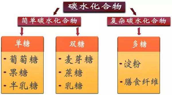 碳水化合物