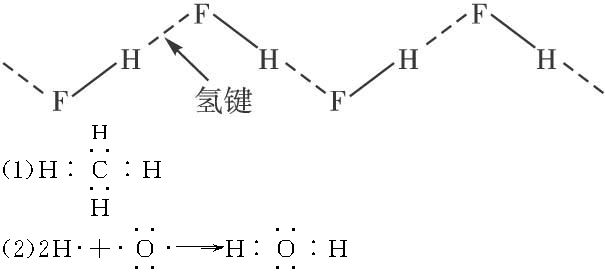氫鍵