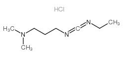 1-乙基-(3-二甲基氨基丙基)碳二亞胺鹽酸鹽