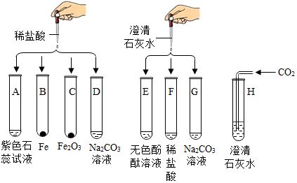 檢測乙醇酸的化學(xué)試驗(yàn)法