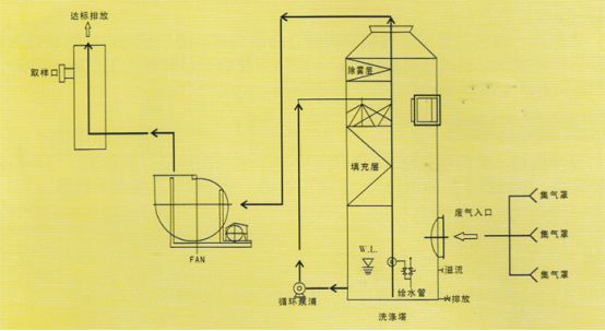 洗脫過程