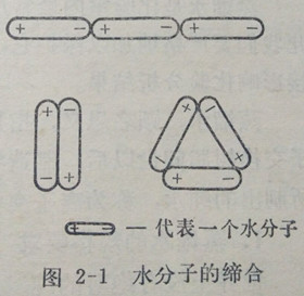 水分子的締合