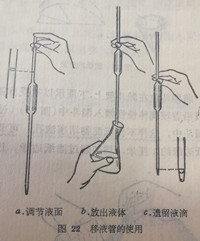 移液管