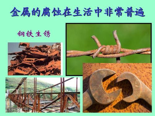 金屬的腐蝕與防護(hù)