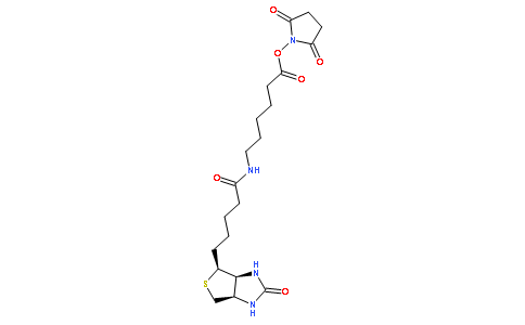 N-琥珀酰亞氨基6-生物素氨己酸
