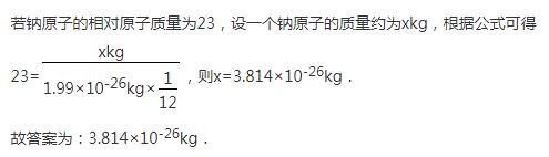 鈉原子的質(zhì)量求何