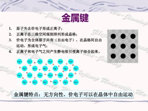金屬鍵