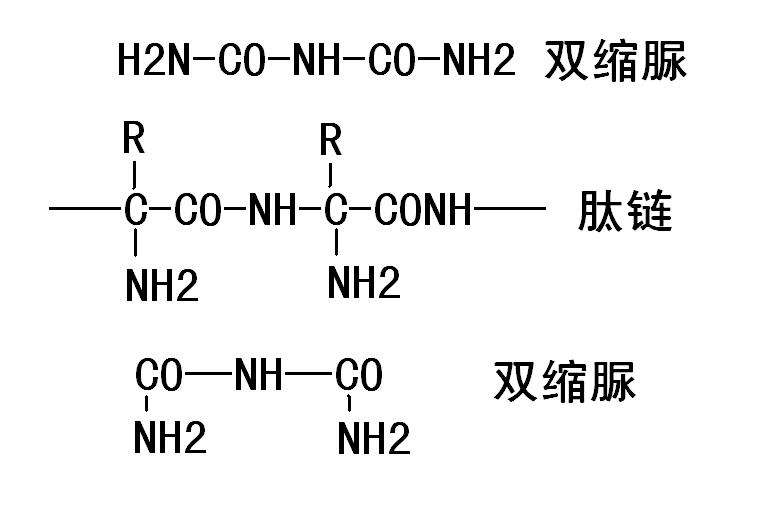 反應(yīng)式