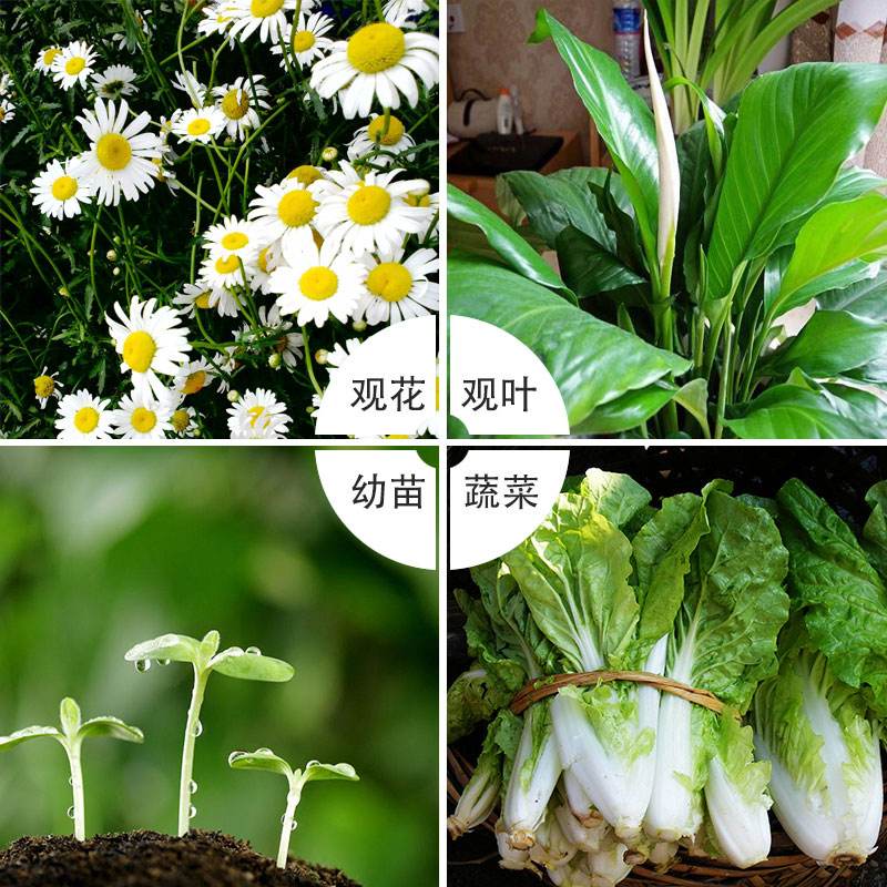 土壤與植物營養(yǎng)