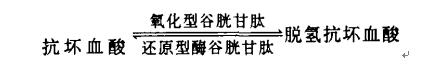 反應(yīng)式