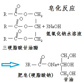 皂化反應(yīng)