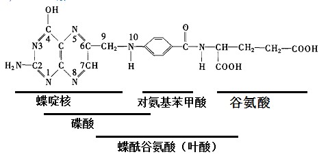 化學(xué)反應(yīng)