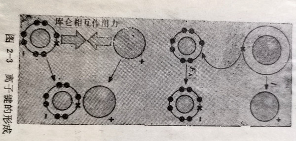 圖2-3離子鍵的形成鍵